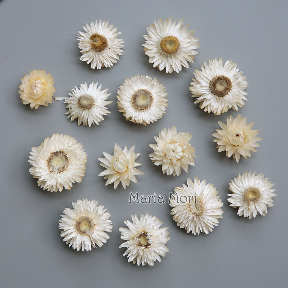 Natuurlijke Gedroogde Kleurrij - Candle Making Products recensie en prijs